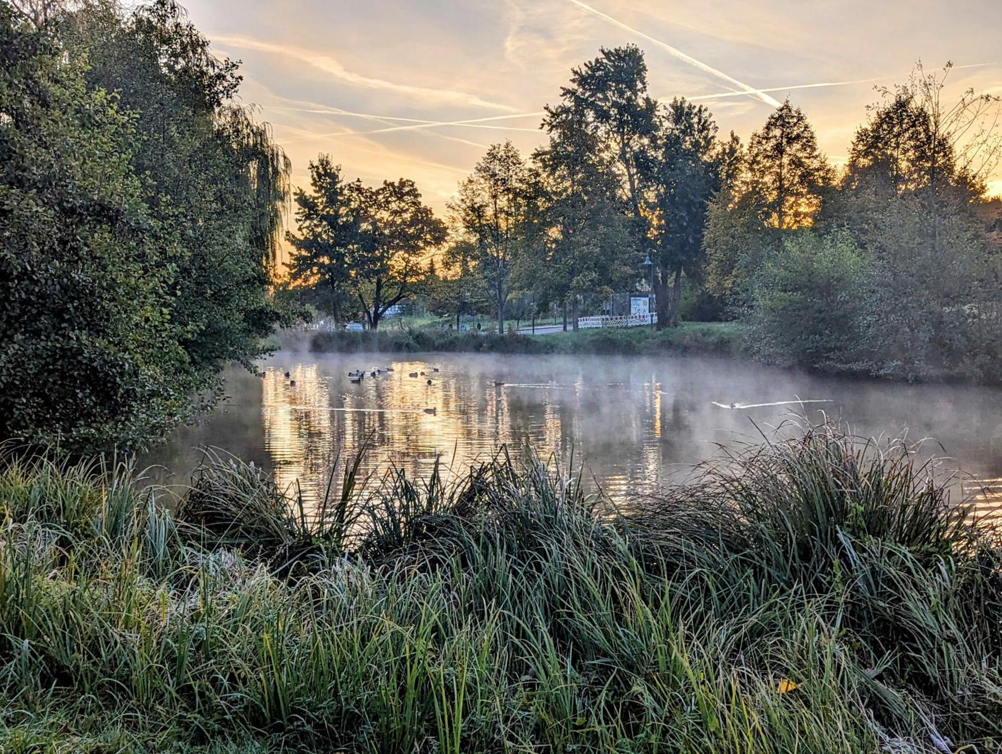 Ferienhaus Am Park Klingenmuenster Ngoại thất bức ảnh